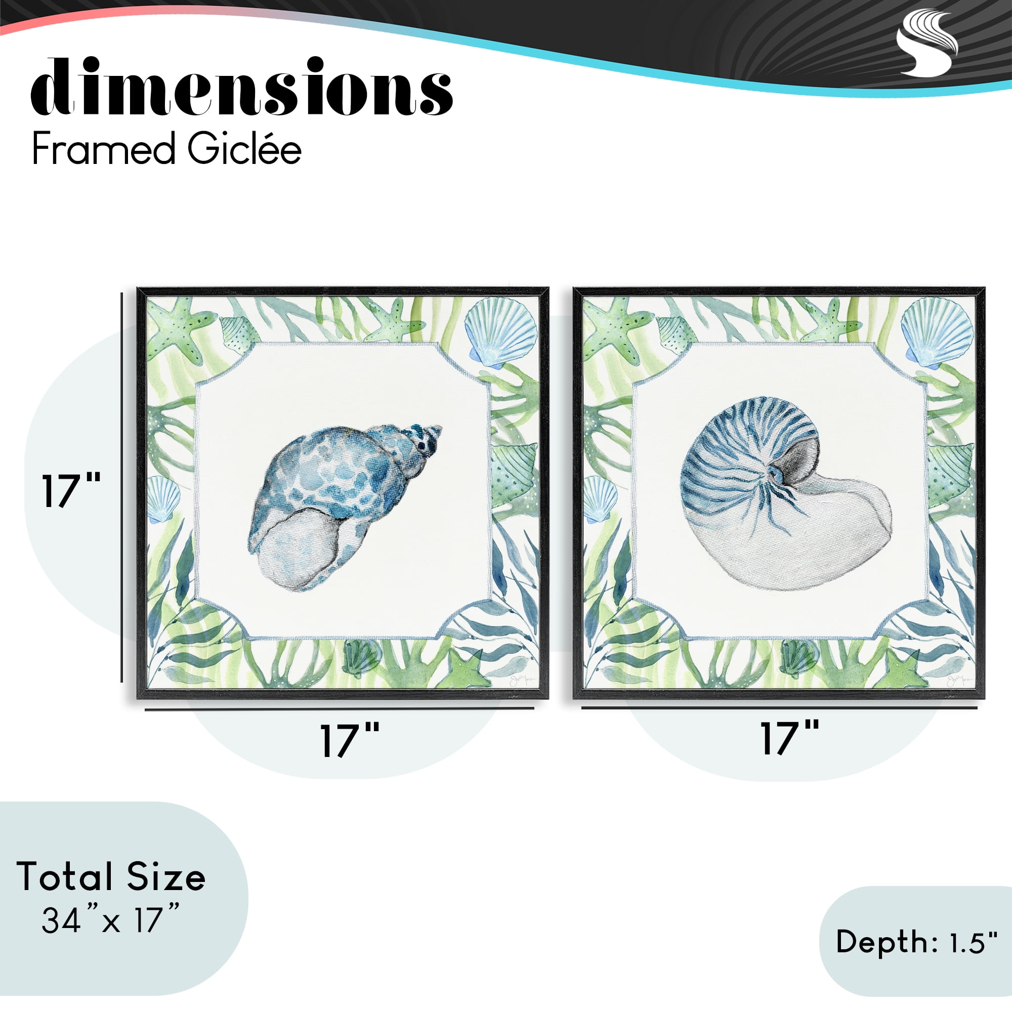 Stupell Industries Seaweed Bordered Seashells 2 Piece Black Framed Giclee Art Set, design by Janet Tava