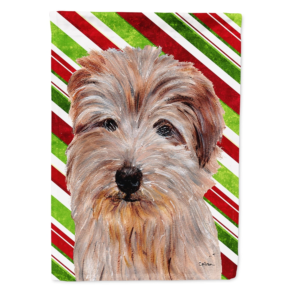 Carolines Treasures Norfolk Terrier Puppy American Flag Night Light 6 x 4 Multicolor