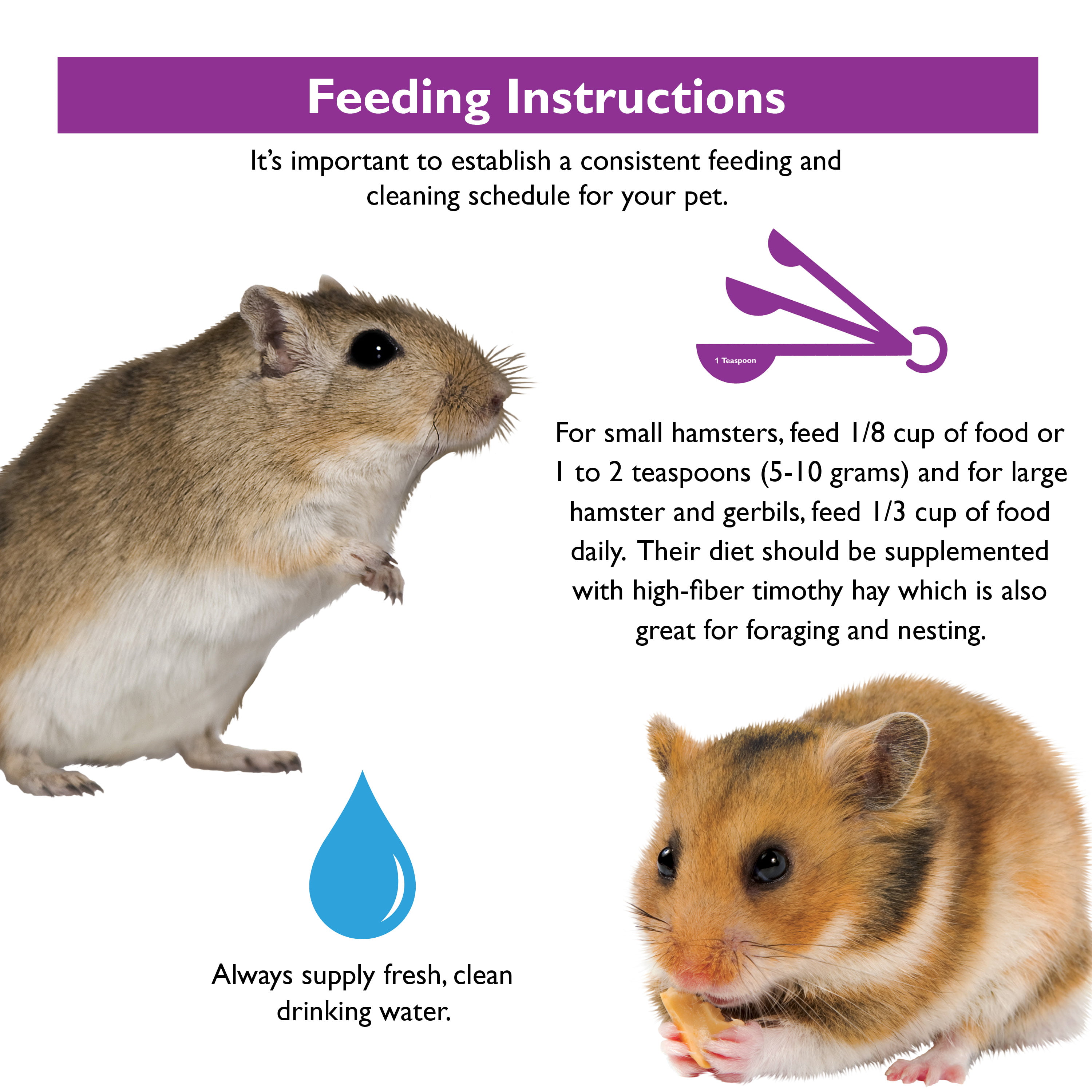 5. Importance of fresh food and water for hamsters