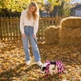 thumbnail image 6 of Spider Costume Halloween Pet Cat Costume Cute Spider Legs Outfits Funny Puppy Kitten Dress Up Cosplay Clothes Party Apparel Supplies，Black, 6 of 9