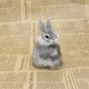 thumbnail image 4 of Cute Imitation Bunny Window Decoration - Life-like Artificial Bunny Statue for Home & Garden Decor, 4 of 5