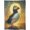 Puffin 01, variant on Natural Bee Blanket Gifts for Adults Women Men, Bumblebee Flying Colorful Bloom Wildflower Throw Blankets for Sofa Office Couch Room Decor, Cozy Lightweight Warm Soft Throws, 60x50 in