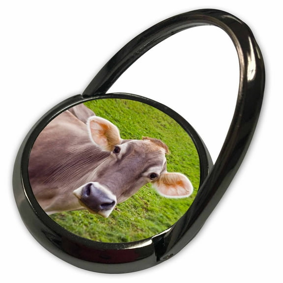 3dRose, Cow, Italy, Bolzano, Val di Funes, Dolomites, Phone Ring