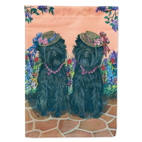 Carolines Treasures PPP3001CHF Affenpinscher Sisters Flag Canvas House Size  Large multicolor