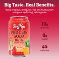 thumbnail image 4 of (12 pack) SkyPop Protein Soda Fruit Punch, 10g Protein, 12 fl oz, 4 of 8