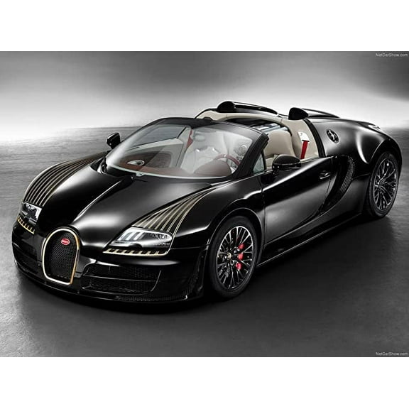 Iconic Arts Laminated 32x24 Poster: Sports Car - Bugatti Veyron Black Bess 2014