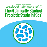 Culturelle Kids Probiotic + Complete Multivitamin For Kids 3+, 30 Chewables
