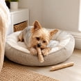 thumbnail image 6 of Kofibone Coffee Wood Dog Chew Toy, Natural Wooden Dog Chew Stick, Coffee Wood Chew for Small Medium Large Dogs, Durable Non-Toxic Dog Chewing Toy Alternative, 6 of 7