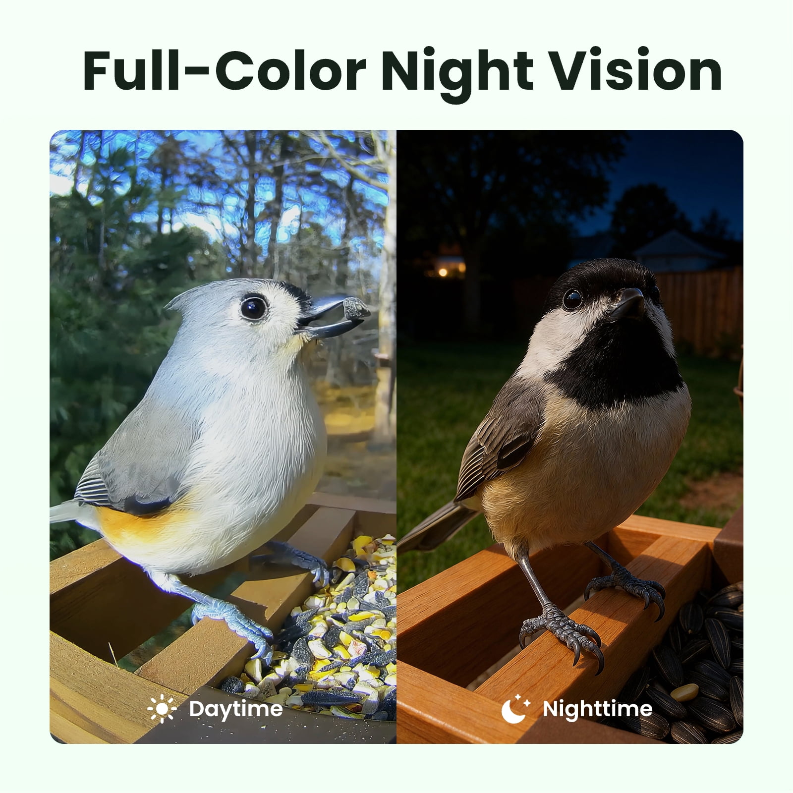 Birdfy Smart Bird Feeder with Camera, 1080P HD Bird Feeder Camera with AI Bird Identification, Solar Powered, Motion Detection & Real-Time Alerts, Suet Ball Holder for Outdoor Birdwatching