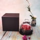 thumbnail image 4 of Rosa eterna en una elegante cúpula de cristal, con luz LED a base de pino, flor preservada, regalo navideño, decoración de mesa, rosa roja, 4 of 5