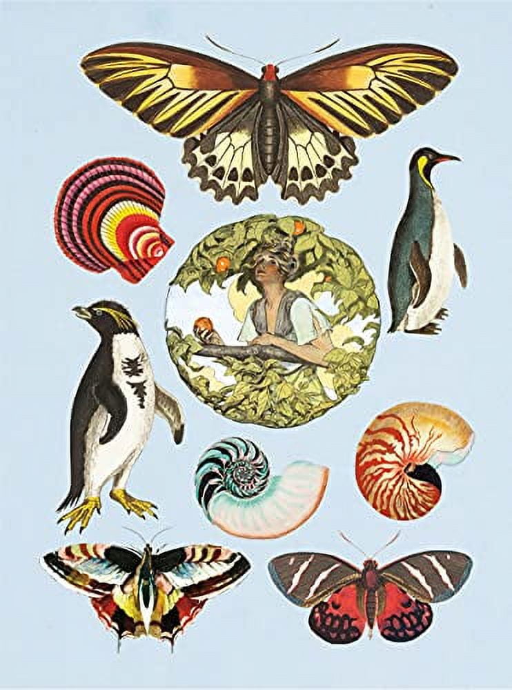 The Antiquarian Sticker Book: Over 1,000 Exquisite Victorian Stickers  Hardcover – Illustrated,2020 by Odd Dot