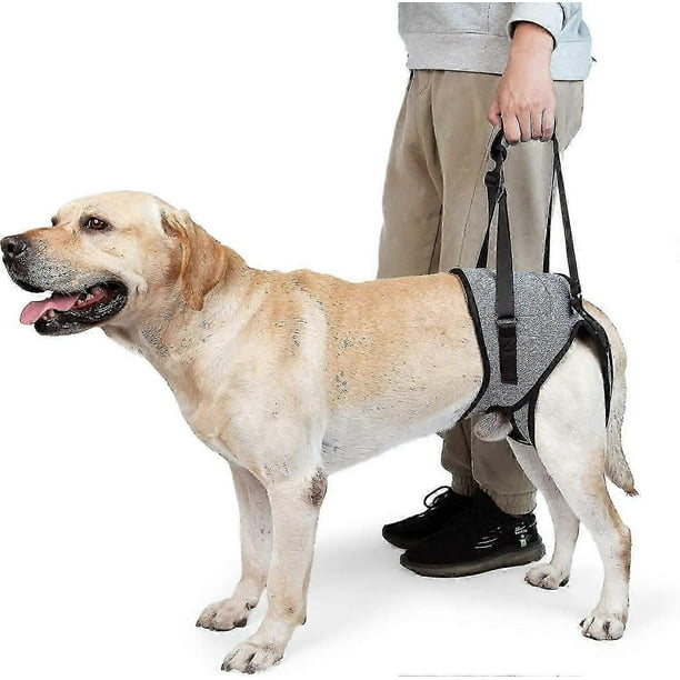 Dog Lifting Harness, Dog Support Harness For Back Legs, Soft Dog Support Sling For Injured Disabled Dogs, Happy H