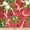 Red,Multi, variant on Holiday Floral Print Broadcloth Fabric - Black Multi-Color Polyester Cotton 58/60" By The Yard