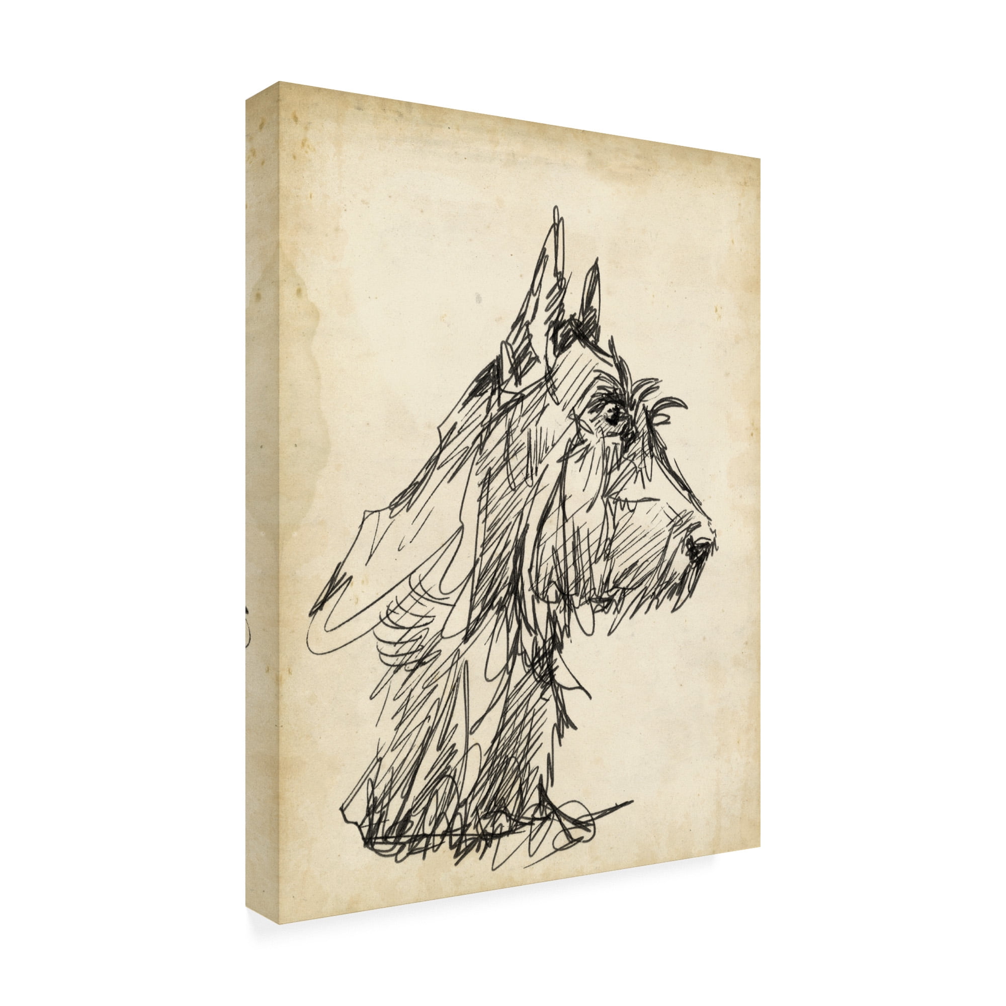 Trademark Fine Art 'Breed Studies I' Canvas Art by Ethan Harper