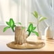 thumbnail image 5 of Herramientas y mejoras para el hogar Maceta de madera brasileña hidropónica para plantas verdes, bandeja de cerámica para flores con hojas de loto., 5 of 6
