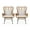 Light Brown/Beige, variant on Noble House Crystal Modern Faux Rattan Cushions Marquwz Outdoor Wicker Club Chairs, Beige (Set of 2)
