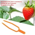 thumbnail image 3 of 50pc Plastic Quality Plant Clips,Garden Tools Stolons Fixing Fastening Fixture Clamp Strawberry Fork Farming Clip, 3 of 7