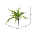thumbnail image 3 of Vickerman FJ180601 Vaporisateur de Fougère Verte 16 Po., 3 of 3