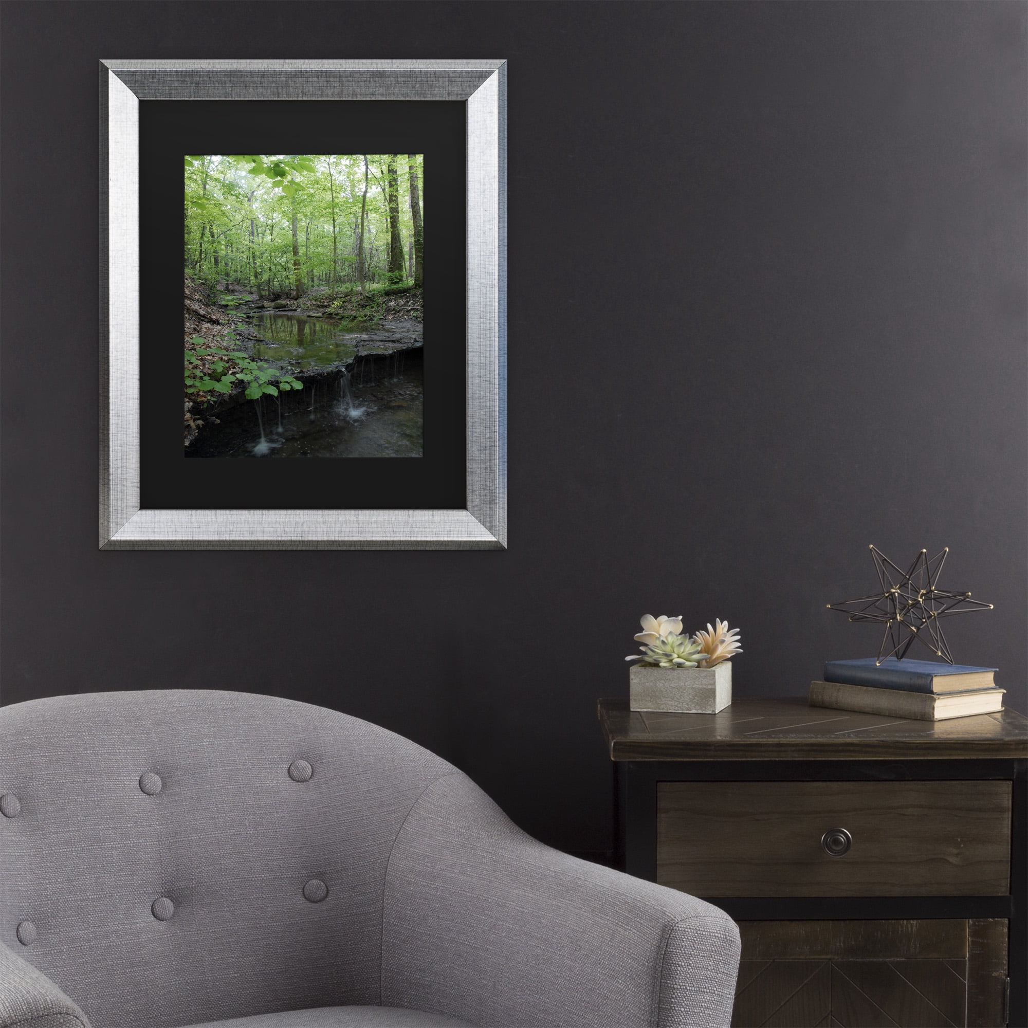 Trademark Fine Art 'Tiny Forest Falls' Canvas Art by Kurt Shaffer