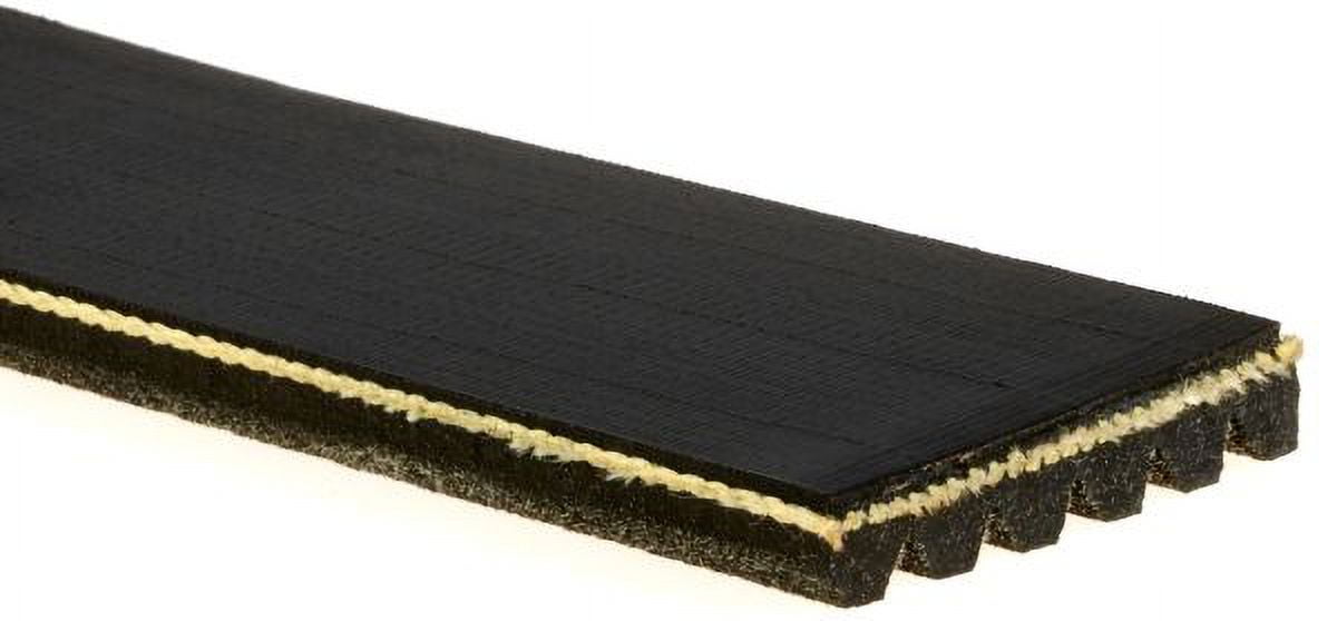 ACDelco V-Ribbed Serpen (A)