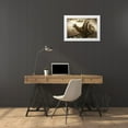 thumbnail image 3 of Kiciak, Christophe 14x11 White Modern Wood Framed Museum Art Print Titled - Snail Mail, 3 of 4
