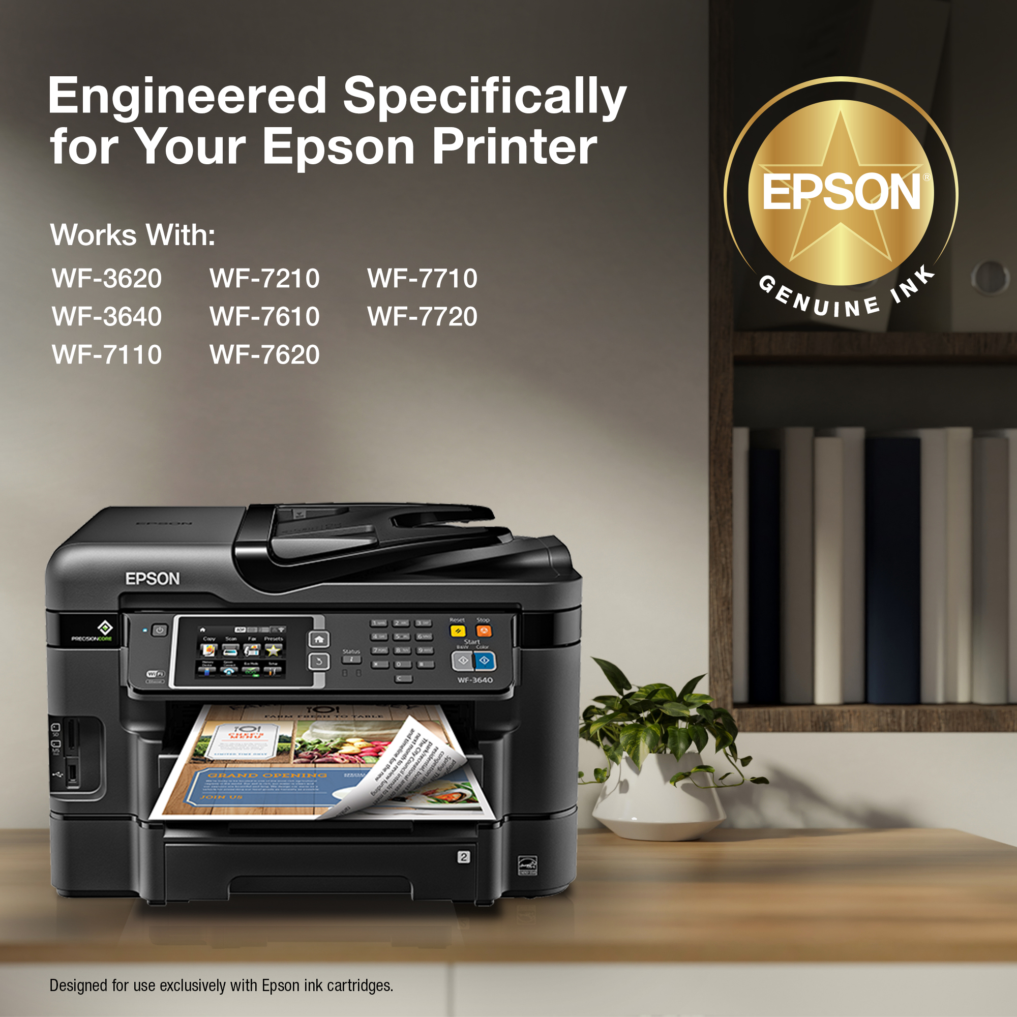 Epson 252 Standard Yield Black and Color Ink Combo Pack photo 3