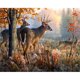thumbnail image 1 of 5D DIY Diamond Painting Kits Full Round Drill Elk Mosaic Wall Picture (V2331) Sywqhk Decoración hogareña, 1 of 9