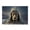 Wooden puzzle 102, variant on 500-Piece Adult Wood Jigsaw Puzzle, Classical Church Arch Oil Ascension Of Jesus Apostles Group Religious Art jesus puzzles for adults, Stress-Relieving Eco-Friendly, 20.5×15in