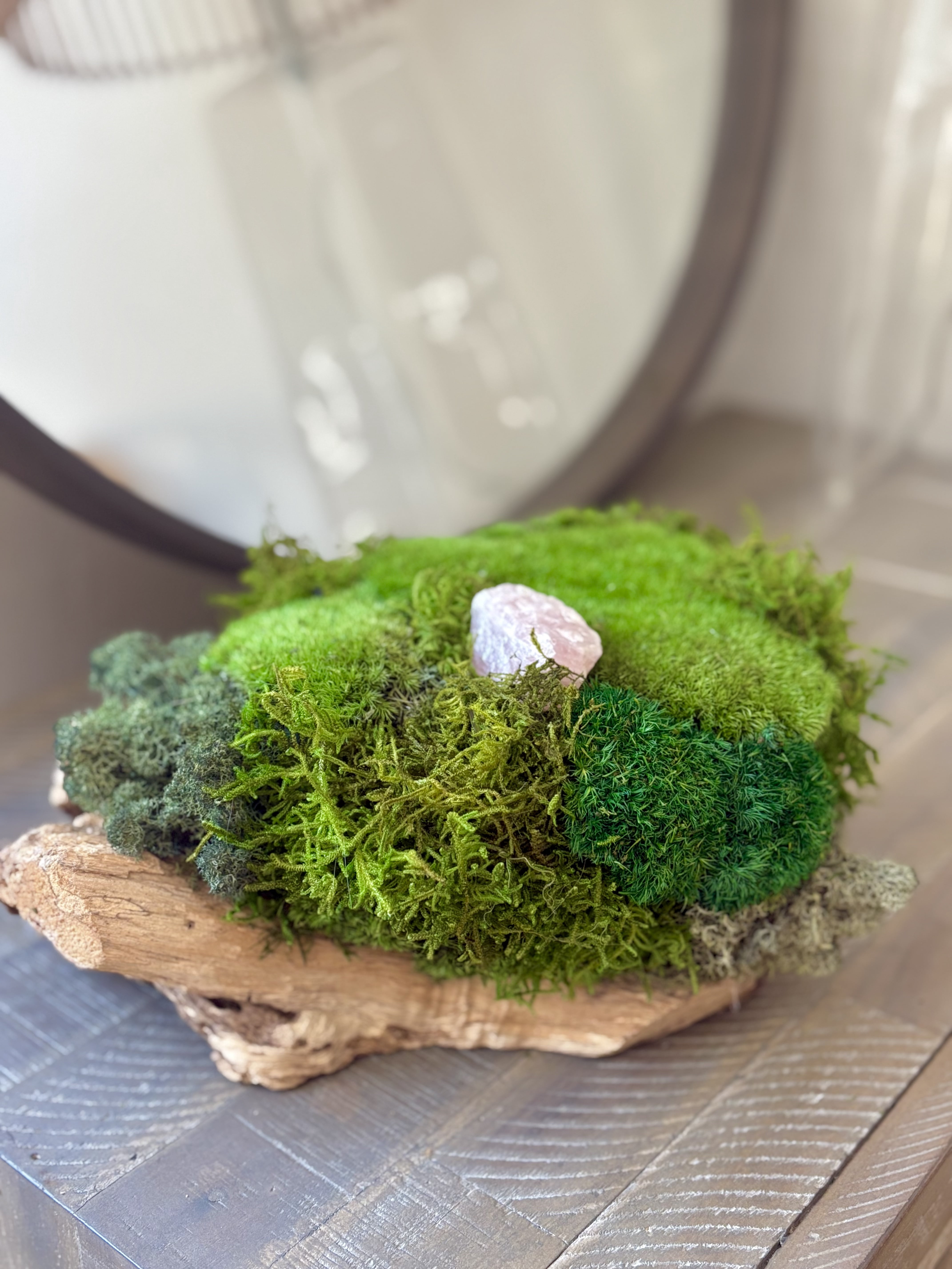Preserved Moss Centerpiece Eco-Friendly in Teak Wood Planter
