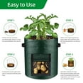 thumbnail image 5 of 10 Gallon 3-Pack Potato Grow Bags,Heavy Duty PE Fabric Pots with Flap and Handles,Green Planter Bags for Potato Vegetables Outdoor Garden,Large for All Plants Growing, 5 of 7