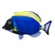 thumbnail image 1 of Blue Simulación eléctrica Regal Blue para Tang Fish para gato jugando juguete masticable limpieza de dientes recargable algodón suave interactivo espesar resistente a las mordedur, 1 of 5