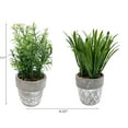 thumbnail image 3 of IH Casa Decor  Artificial Plants In Ceramic Gray Pot Asstd - Set of 2, 3 of 3