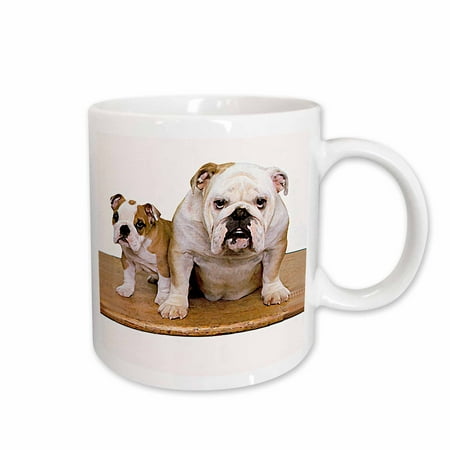 

3dRose British Bulldog Male Ceramic Mug 15-ounce