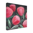 thumbnail image 2 of Grace Popp 'Blush Blossoms I' Canvas Art, 2 of 3