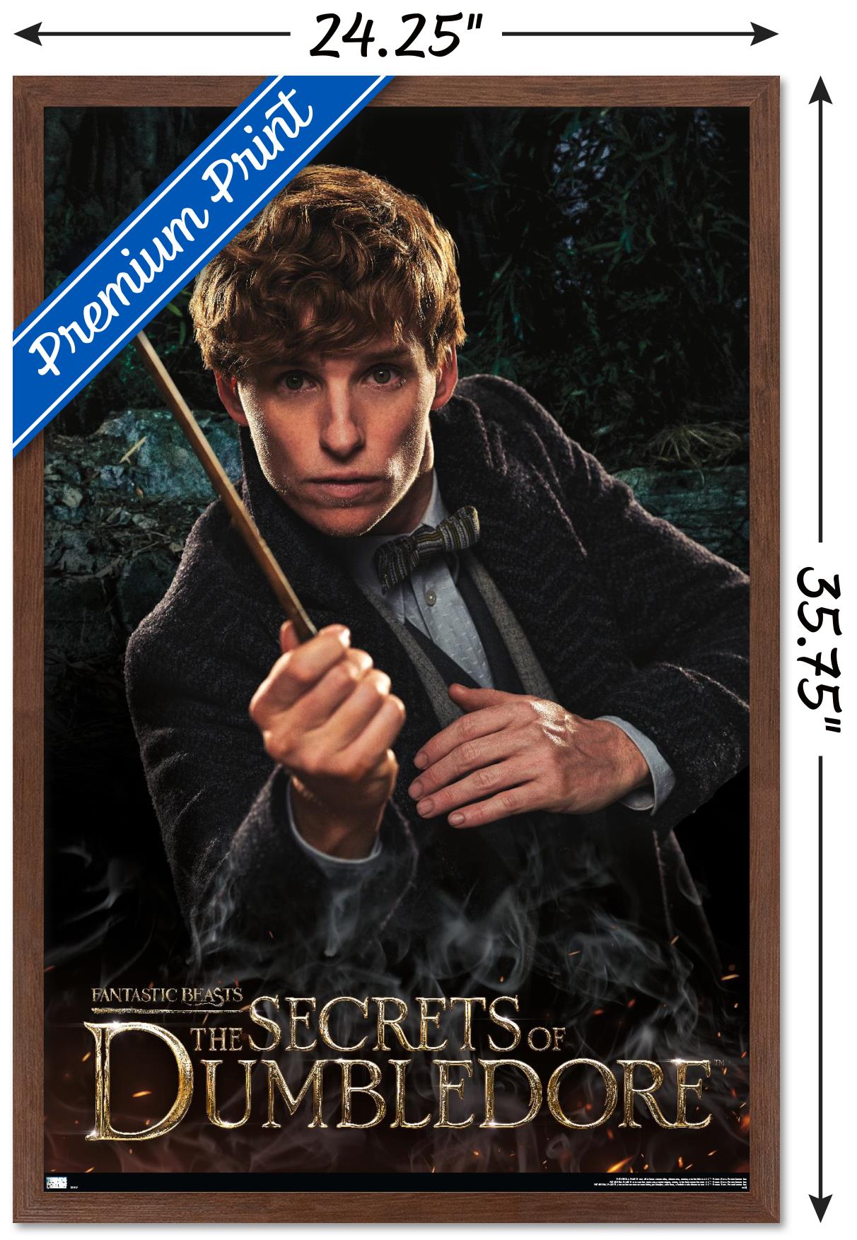 Fantastic Beasts: The Secrets of Dumbledore - Newt Wall Poster, 22.375" x 34" Framed