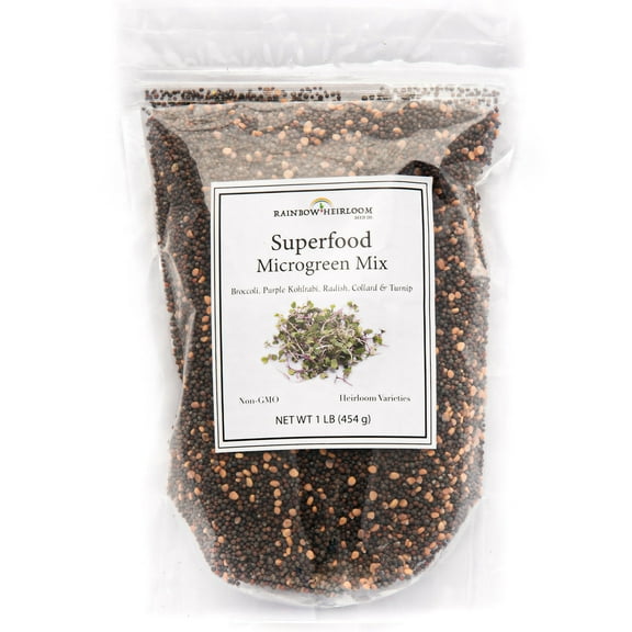 Superfood Microgreen Seed Mix, 1 LB (16 oz) | Heirloom Non-GMO Purple Kohlrabi, Collard, Radish, Turnip & Broccoli Seeds | Rainbow Heirloom Seed Co.