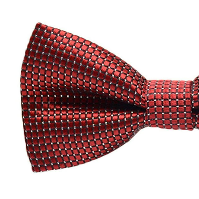 Cravate Formelle à Motif Coloré pour Homme, Nœud Papillon Formel pour Adulte, Homme, Réunion d'Affaires, Mariage, Nœud Papillon en Fil de Polyester