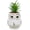 Hedwig, variant on The Office World's Best Boss Decorative Artificial Faux Greenery Plant in Ceramic