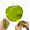 Green, variant on Pink Apple Squishy, Slow Rising Coconut Oil Squishies for Stress Relief, Cute Apple Stress Balls for Home Office & Party Favors