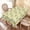 Lemon, variant on 84x60in Lemon and Leaf Rectangular Tablecloth for Summer Picnic Party