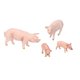 thumbnail image 5 of Pig Animals Model Figures Safe Reliable Farm Pig Model  for Improve Hands-On Ability for Training Logical Thinking ANGGREK Otros, 5 of 8