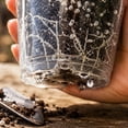 thumbnail image 5 of Clear Plastic Nursery Pot 6in with Drainage Holes Transparent Seedling Cup for Garden Yard Plant Growing, 5 of 6