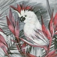 thumbnail image 2 of Marmont Hill Mh-Jultcn-53-C-48 48" X 48" "White Cockatoo I" Frameless Giclee Painting On, 2 of 6