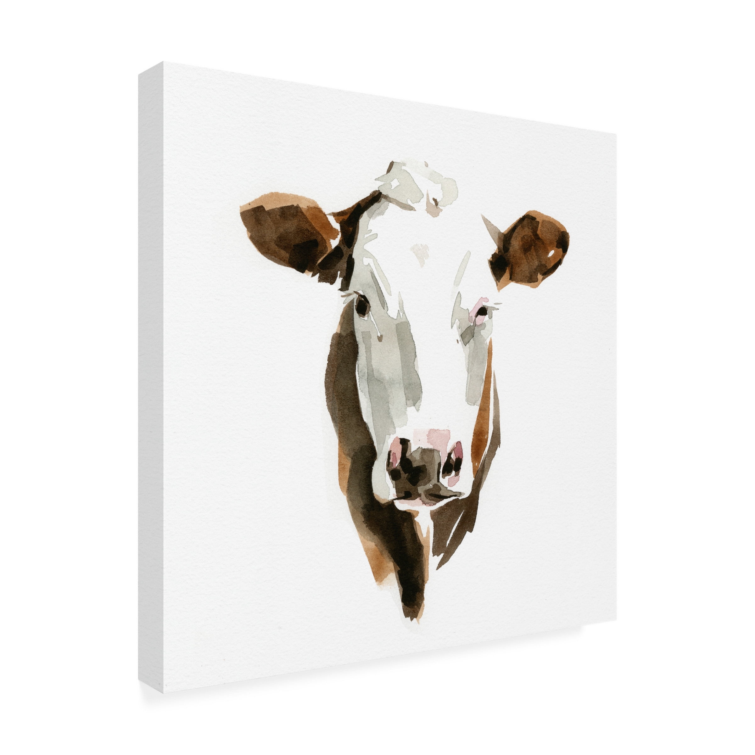 Emma Caroline 'Watercolor BoVIne III' Canvas Art