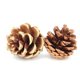 thumbnail image 2 of 9 Pieces of Hamster Molar Toys Set Wooden Molar Exercise Toys Accessories for Hamster Rabbit Guinea Pig Parrot, 2 of 2