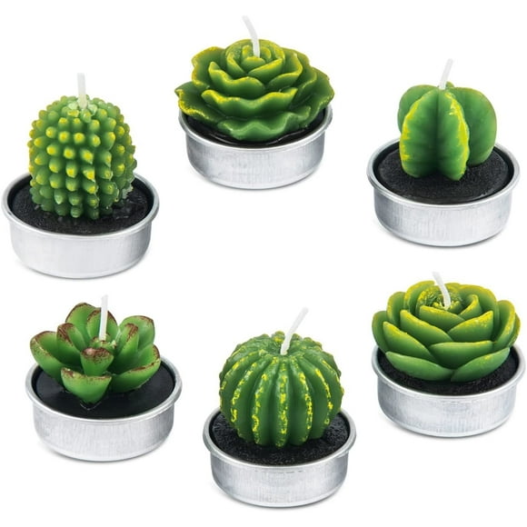 Handmade Delicate Succulent Cactus Candles for Birthday Party Wedding Spa Home Decoration (6 Packs)