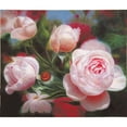 thumbnail image 3 of Murphy, John 23x20 Black Modern Framed Museum Art Print Titled - American Flowers VIII, 3 of 5