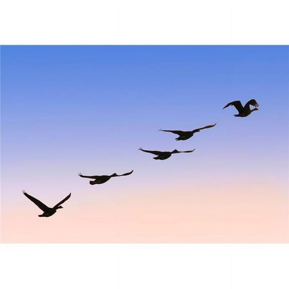 Flock of Geese Poster Print by Raven Regan - 16 x 11