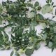 thumbnail image 3 of Guirnaldas vegetales artificiales de plata con forma de dólar y eucalipto en gris, verde y ramitas de sauce, guirnaldas entrelazadas para bodas rústicas, arcos, puertas, camino de mesa, 3 of 9