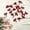 C, variant on Three Different Types Of Red Berry Family Festival Wedding Branches Are Festival Day of The Flowers Flowers with Vase Silk Flowers Hot Roses Flowers Flower Arrangements in Vase Sunflower Heads Flowers